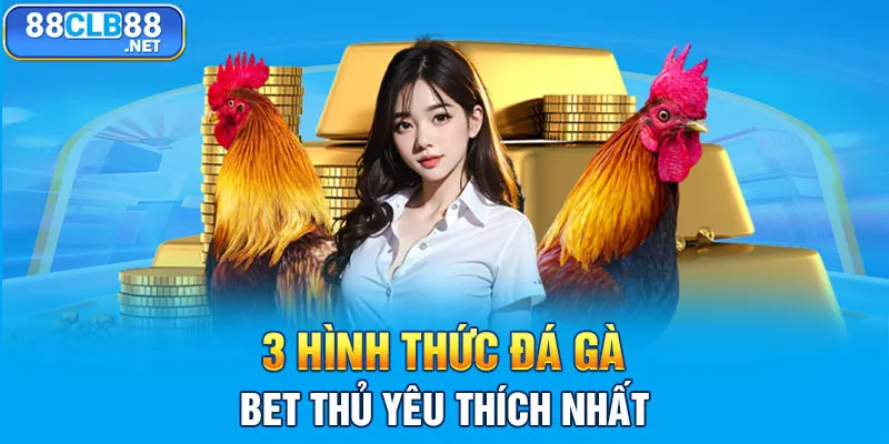 Đá Gà 88CLB - Sàn Đấu Khốc Liệt Của Các Chiến Kê Dũng Mãnh 3 hình thức đá gà bet thủ yêu thích nhất