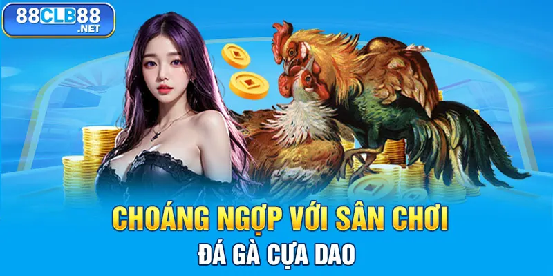 Đá Gà 88CLB - Sàn Đấu Khốc Liệt Của Các Chiến Kê Dũng Mãnh Choáng ngợp với sân chơi đá gà cựa dao
