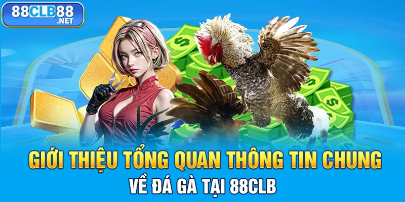 Đá Gà 88CLB - Sàn Đấu Khốc Liệt Của Các Chiến Kê Dũng Mãnh Giới thiệu tổng quan thông tin chung về đá gà tại 88CLB