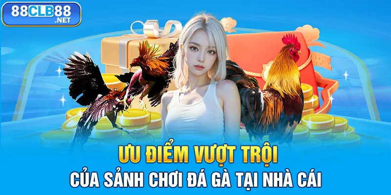 Đá Gà 88CLB - Sàn Đấu Khốc Liệt Của Các Chiến Kê Dũng Mãnh Ưu điểm vượt trội của sảnh chơi đá gà tại nhà cái